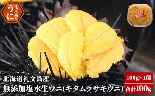 礼文町ウニ