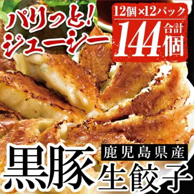 kagosima gouuza